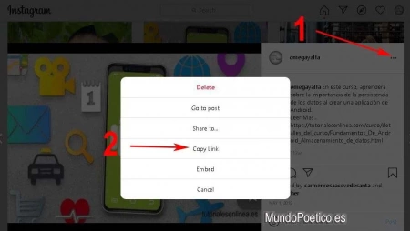 Como descargar videos de Instagram