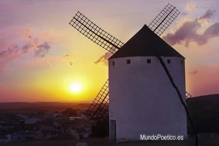 Quisiera haber sido un Quijote...